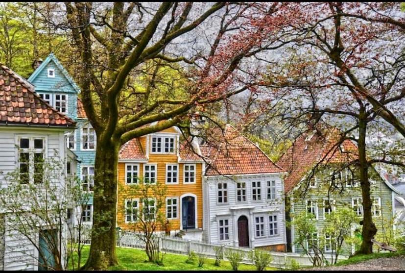Lille Øvregate Leilighet Bergen Eksteriør bilde